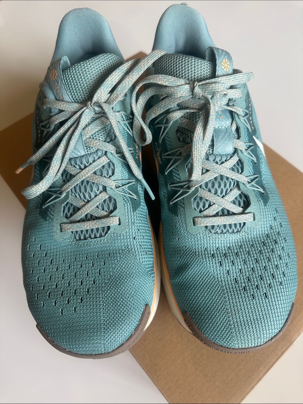 Nike Pegasus Trail 5 Running Shoes - Teal with Peach Accents